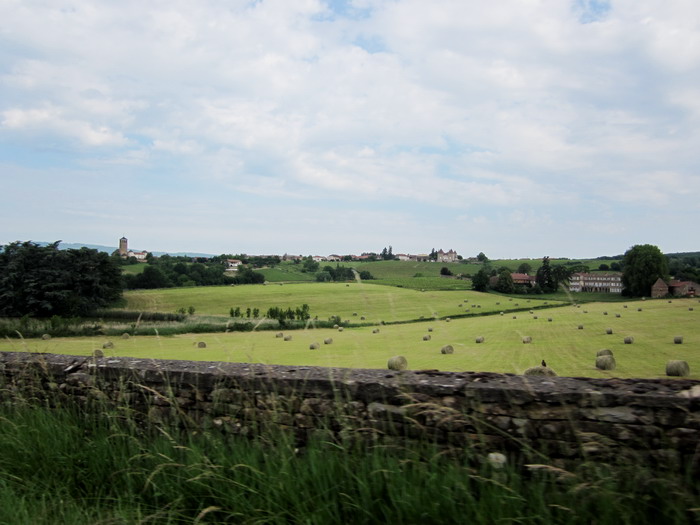 IMG_0223 (700x525, 93Kb)