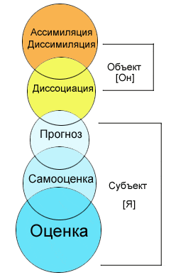Структура оценочного суждения